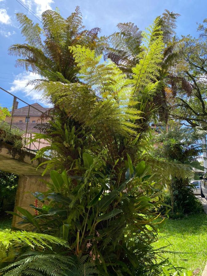 Casa Da Vo Diva No Centro De Gramado Villa Luaran gambar
