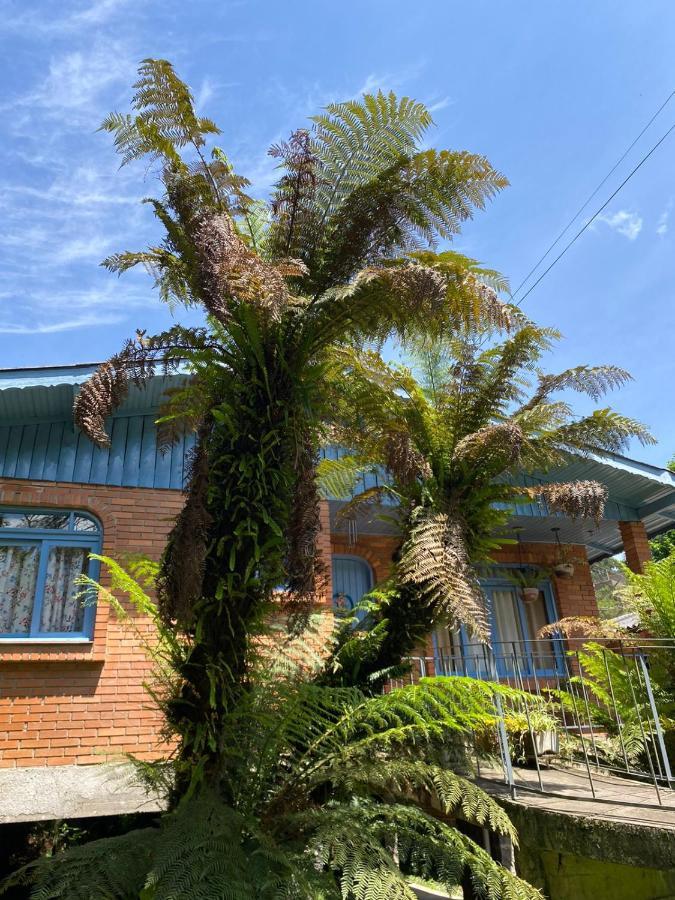 Casa Da Vo Diva No Centro De Gramado Villa Luaran gambar